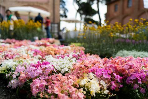 fiera floricoltura fendi|FloraCult 2024: un giardino di idee e sostenibilità a Roma.